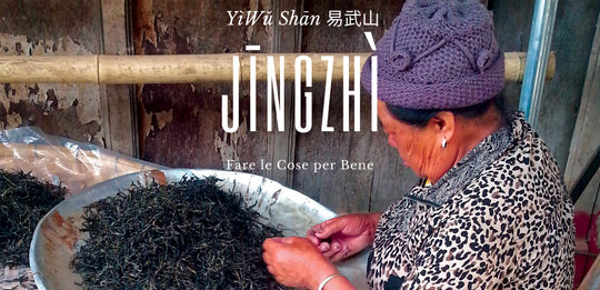 Yiwushan: Jīngzhì, fare le cose con cura.