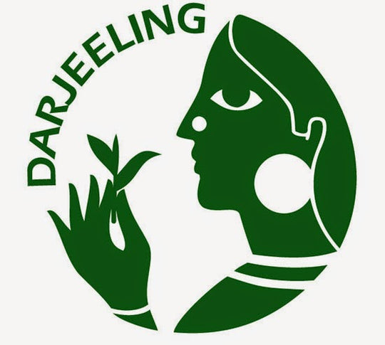 Darjeeling, come evitare truffe. Viaggio tra il vero ed il Fake.