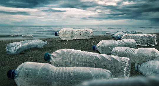 te industriale il veleno dentro una bottiglia di tè freddo