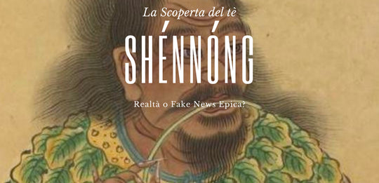 Shennong, come è stato scoperto il tè