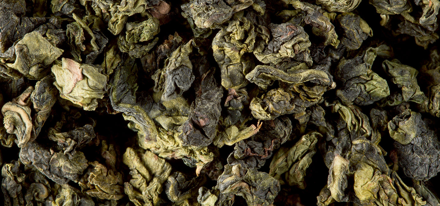 wulong oolong gixlovestea