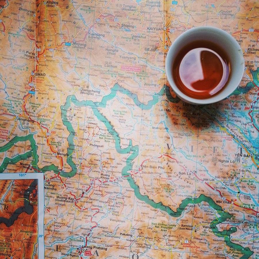 YiwuShan Area ShengPu Tea Collection