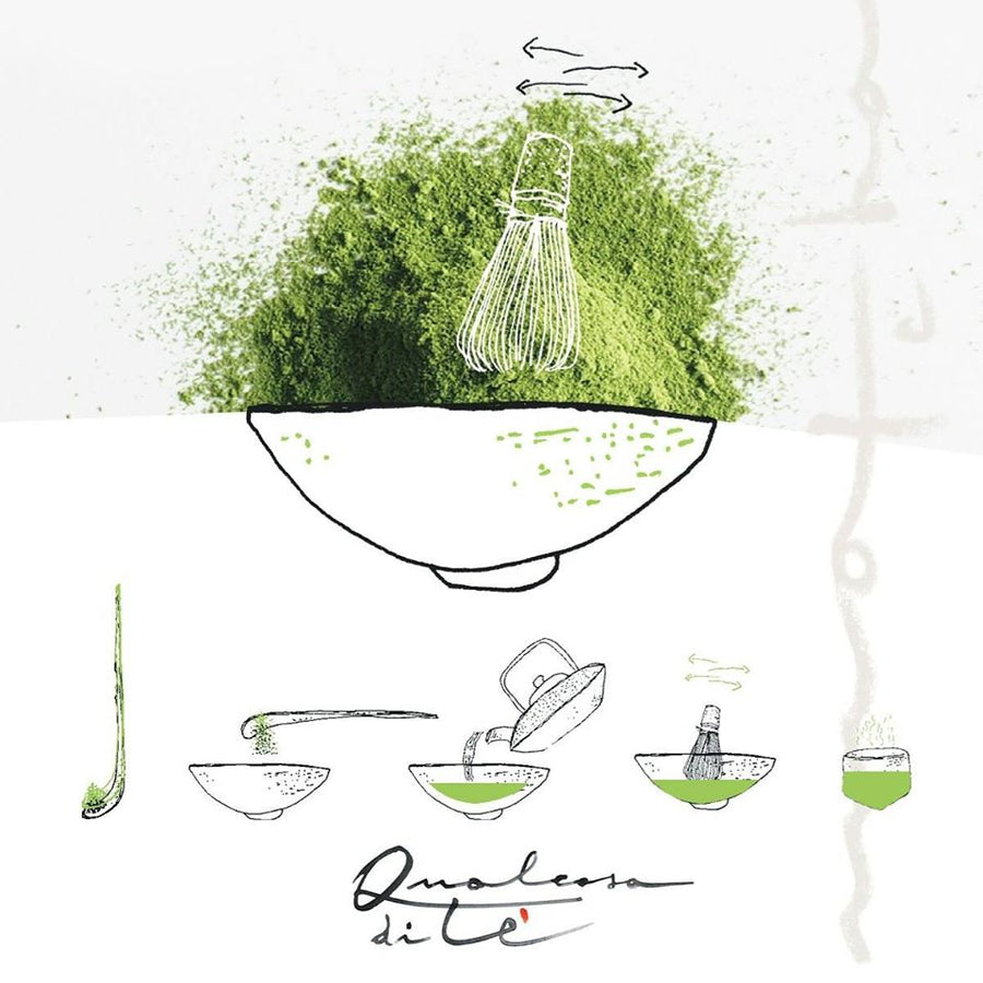 MATCHA SF BIO JAPAN GREEN TEA  te - qualcosadite te e spezie dal mondo cannella curcuma curry pepe 