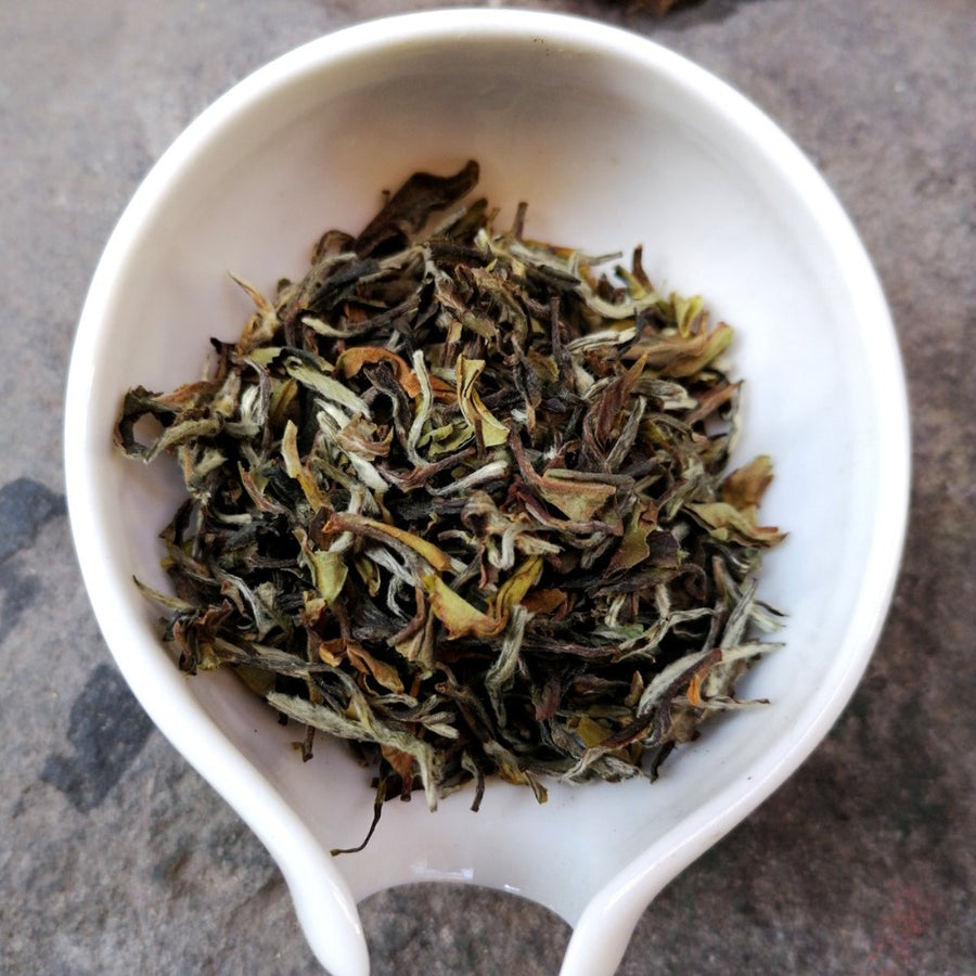 Darjeeling Indian Summer Tea Samples  te nero - qualcosadite te e spezie dal mondo cannella curcuma curry pepe 