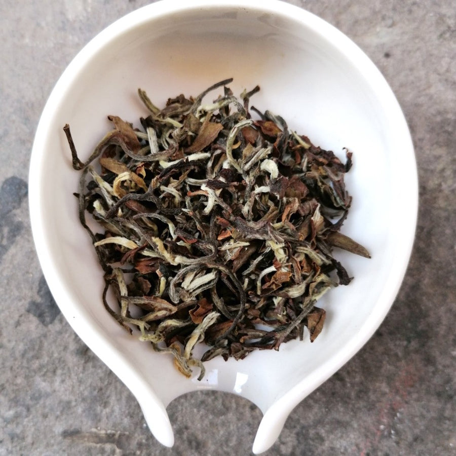 Darjeeling Indian Summer Tea Samples  te nero - qualcosadite te e spezie dal mondo cannella curcuma curry pepe 