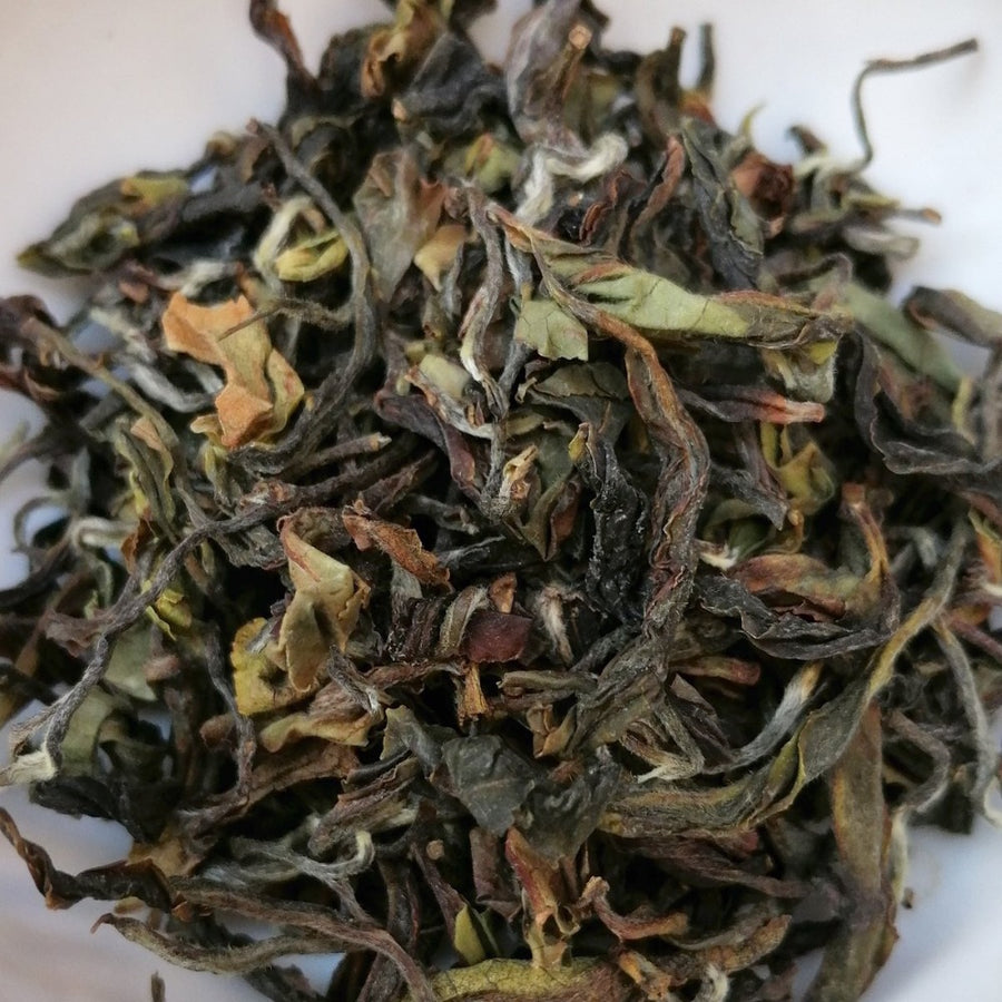 Darjeeling Rohini Jethikupi White Tea  FTGFOP1 CL B157  te bianco - qualcosadite te e spezie dal mondo cannella curcuma curry pepe 