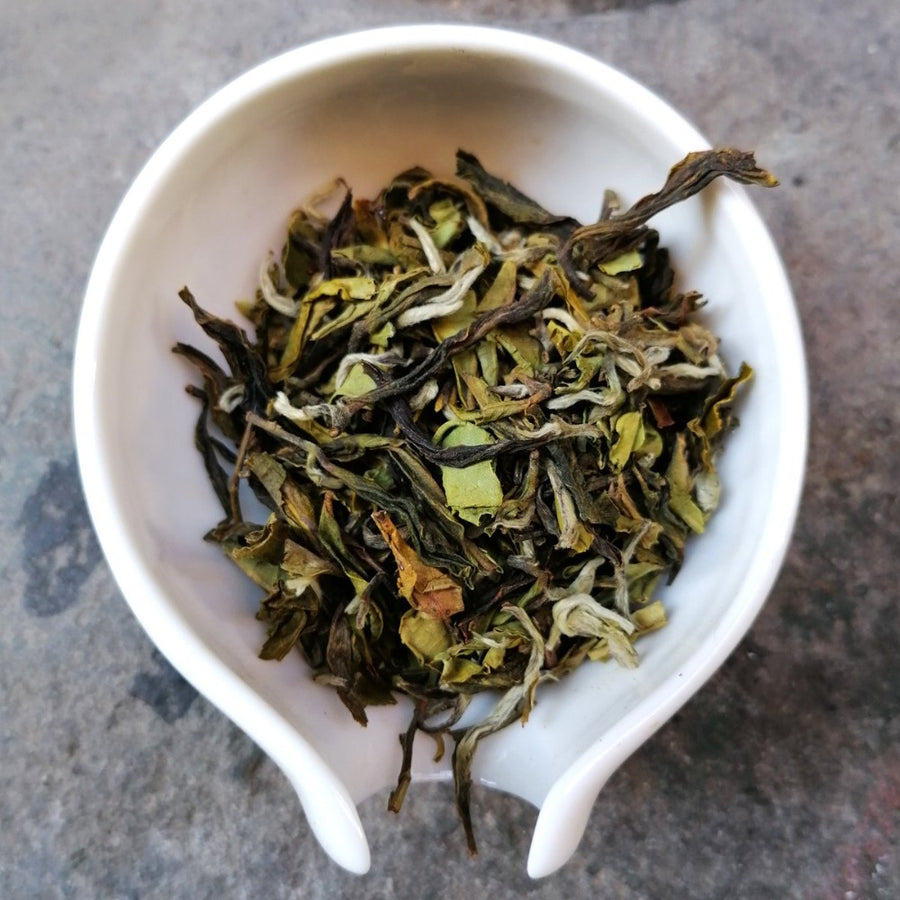 Darjeeling Indian Summer Tea Samples  te nero - qualcosadite te e spezie dal mondo cannella curcuma curry pepe 